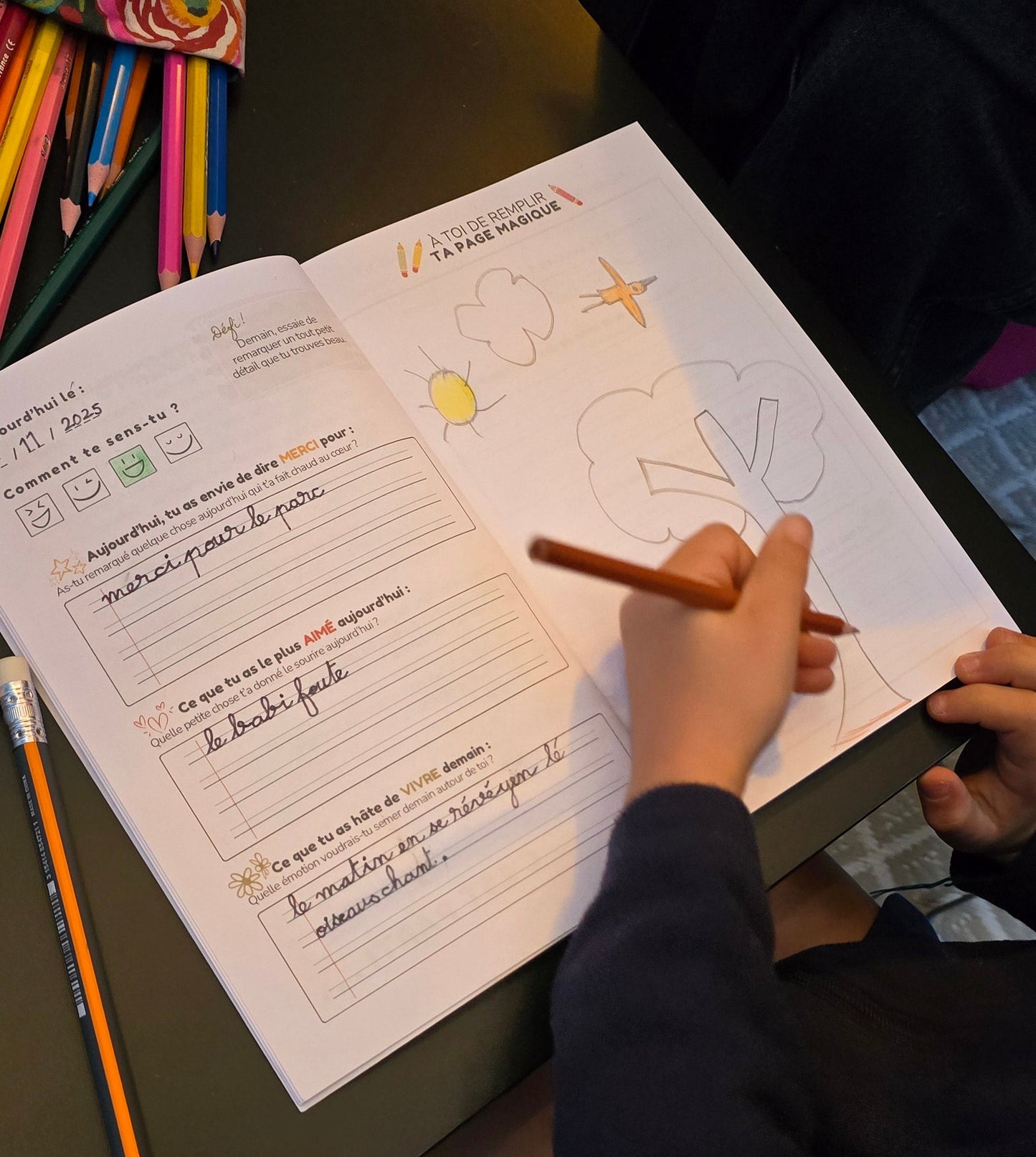 Mon Carnet de Joies – 60 jours pour cultiver la gratitude en famille